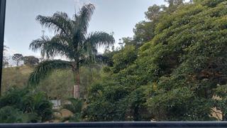 Plantas: imagem 2 de 15
